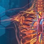 Global Bio Simulation Market