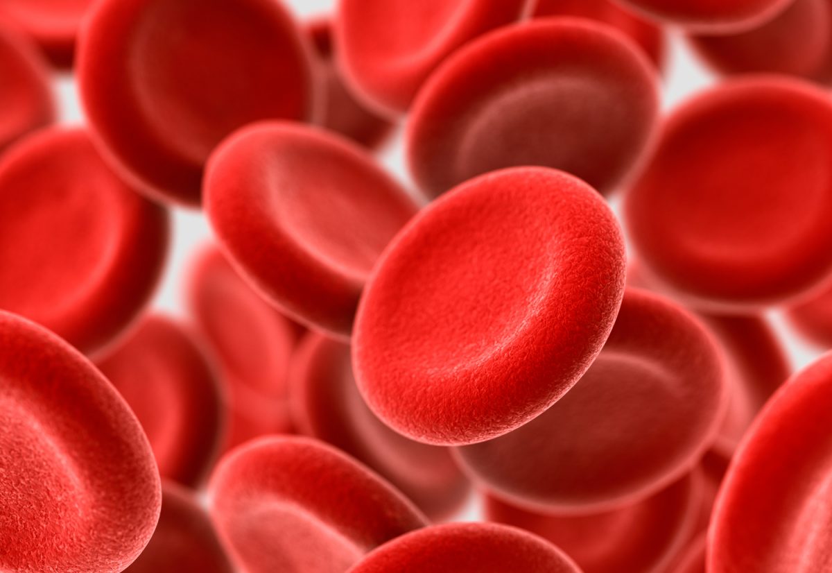 Global Blood Plasma Market