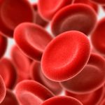 Global Blood Plasma Market