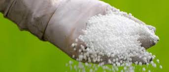 Global Potassic Fertilizer Market
